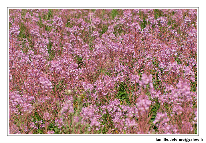 img_3478_dxo_raw-border.jpg