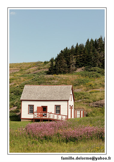 img_3480_dxo_raw-border.jpg