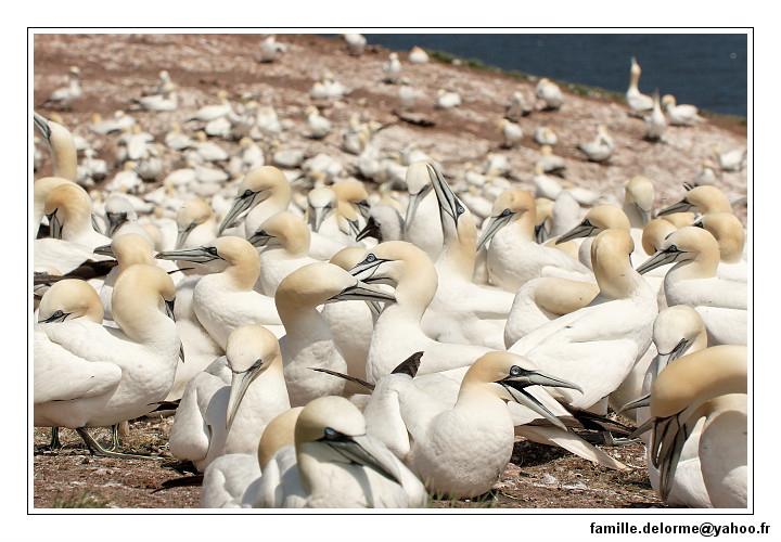 img_3484_dxo_raw-border.jpg