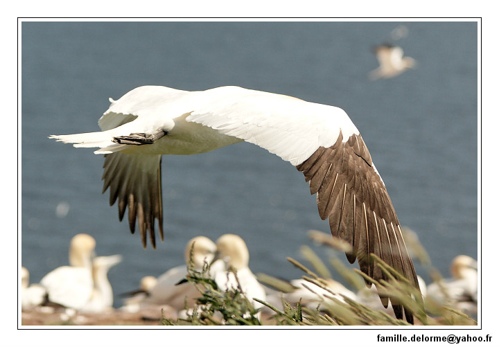 img_3499_dxo_raw-border.jpg