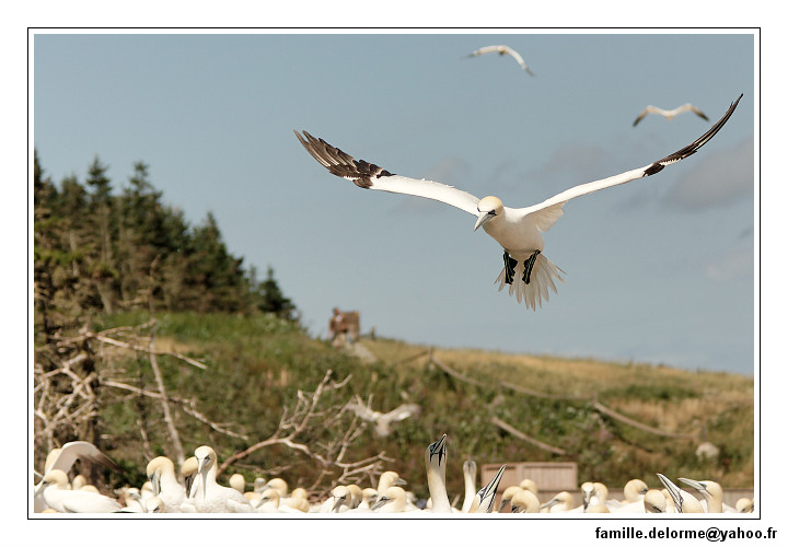 img_3500_dxo_raw-border.jpg
