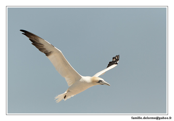 img_3511_dxo_raw-border.jpg
