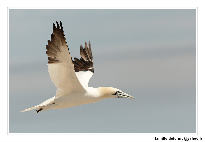 img_3515_dxo_raw-border.jpg
