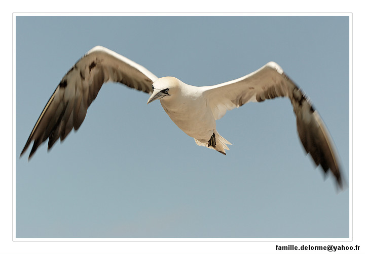 img_3524_dxo_raw-border.jpg
