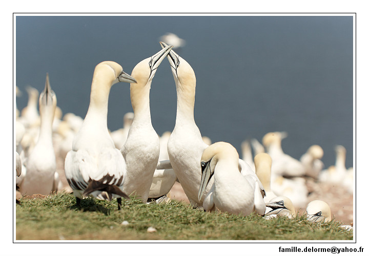 img_3539_dxo_raw-border.jpg