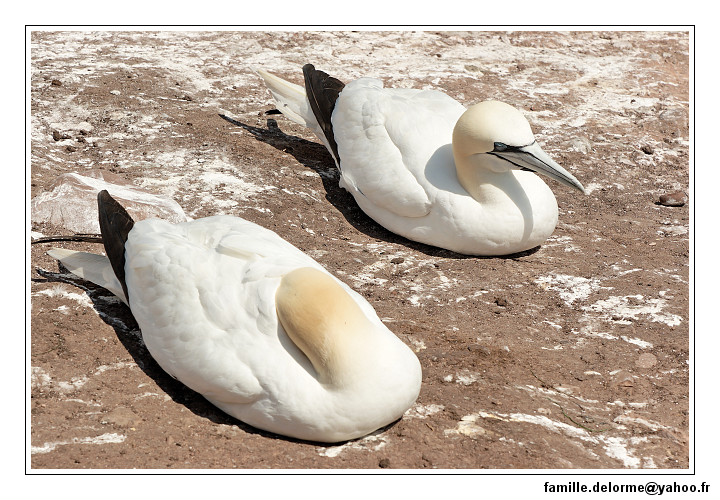 img_3540_dxo_raw-border.jpg