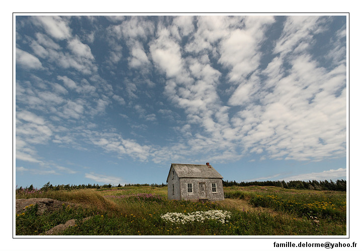img_3553_dxo_raw-border.jpg