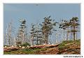 img_3447_dxo_raw-border