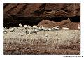 img_3448_dxo_raw-border