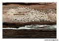 img_3452_dxo_raw-border