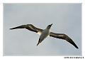 img_3458_dxo_raw-border