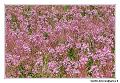 img_3478_dxo_raw-border