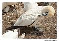 img_3491_dxo_raw-border