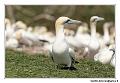 img_3502_dxo_raw-border
