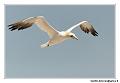img_3510_dxo_raw-border