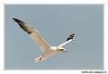 img_3511_dxo_raw-border