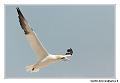 img_3512_dxo_raw-border
