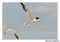 img_3513_dxo_raw-border