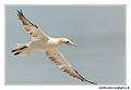 img_3522_dxo_raw-border