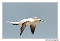 img_3523_dxo_raw-border