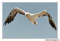 img_3524_dxo_raw-border