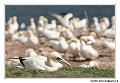 img_3530_dxo_raw-border