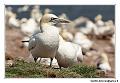 img_3531_dxo_raw-border