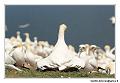 img_3538_dxo_raw-border