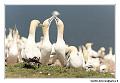 img_3539_dxo_raw-border