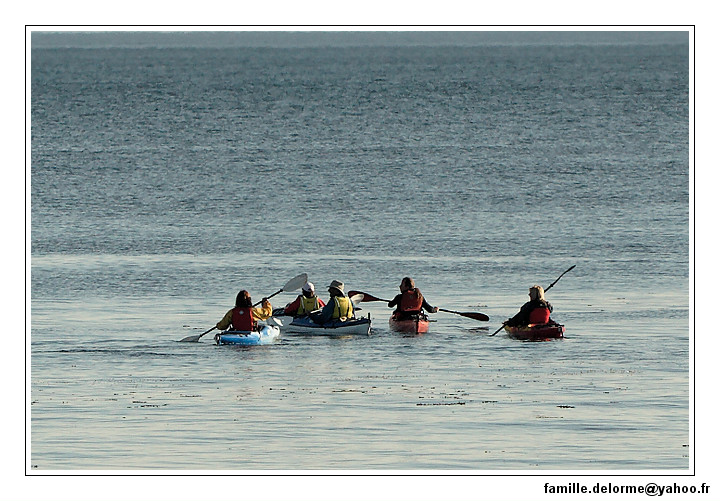 img_3764_dxo_raw-border.jpg