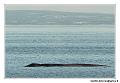 img_3758_dxo_raw-border