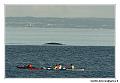 img_3771_dxo_raw-border