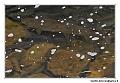 img_3324_dxo_raw-border