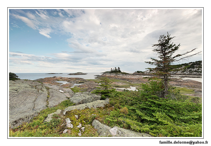 img_3706_dxo_raw-border.jpg