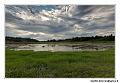 img_3696_dxo_raw-border