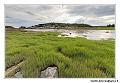 img_3705_dxo_raw-border