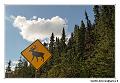img_4184_dxo_raw-border
