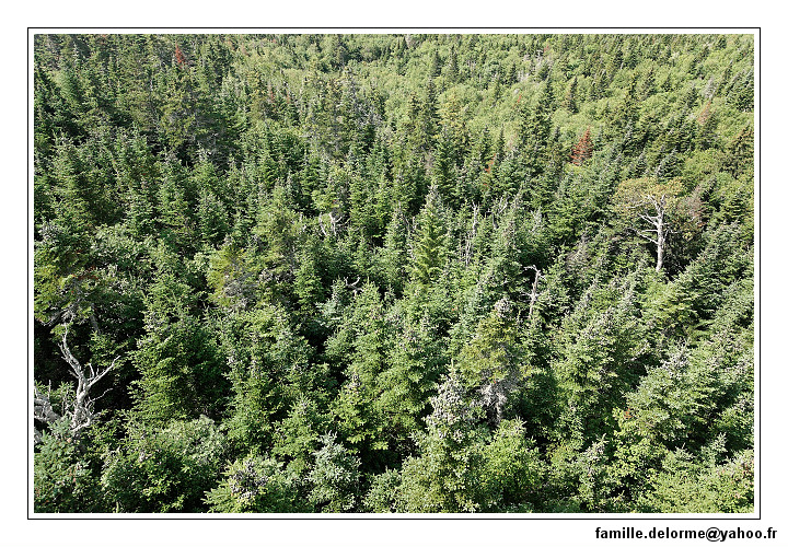 img_3565_dxo_raw-border.jpg