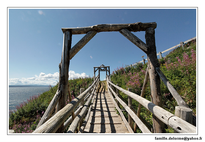 img_3573_dxo_raw-border.jpg