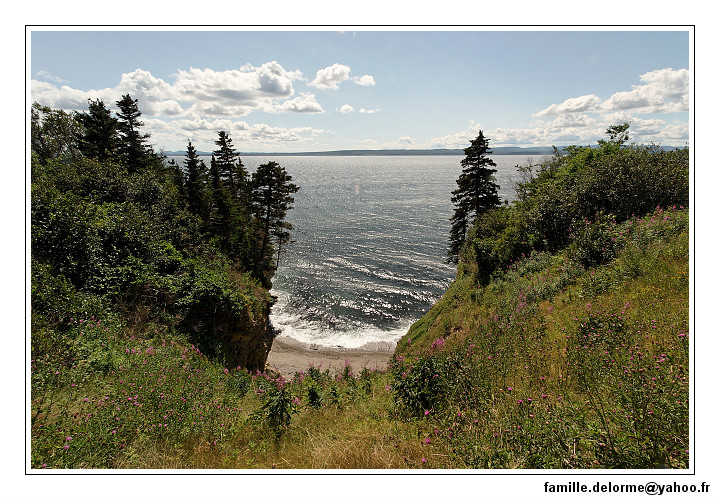 img_3576_dxo_raw-border.jpg