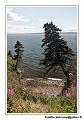 img_3577_dxo_raw-border
