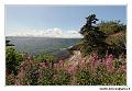 img_3578_dxo_raw-border