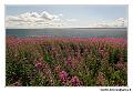 img_3579_dxo_raw-border