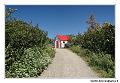 img_3583_dxo_raw-border