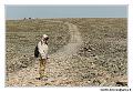 img_3620_dxo_raw-border