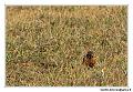 img_3625_dxo_raw-border