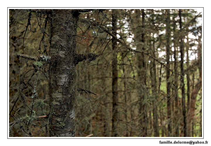 img_4170_dxo_raw-border.jpg