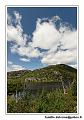 img_4140_dxo_raw-border