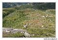 img_4144_dxo_raw-border