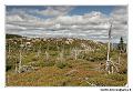 img_4168_dxo_raw-border